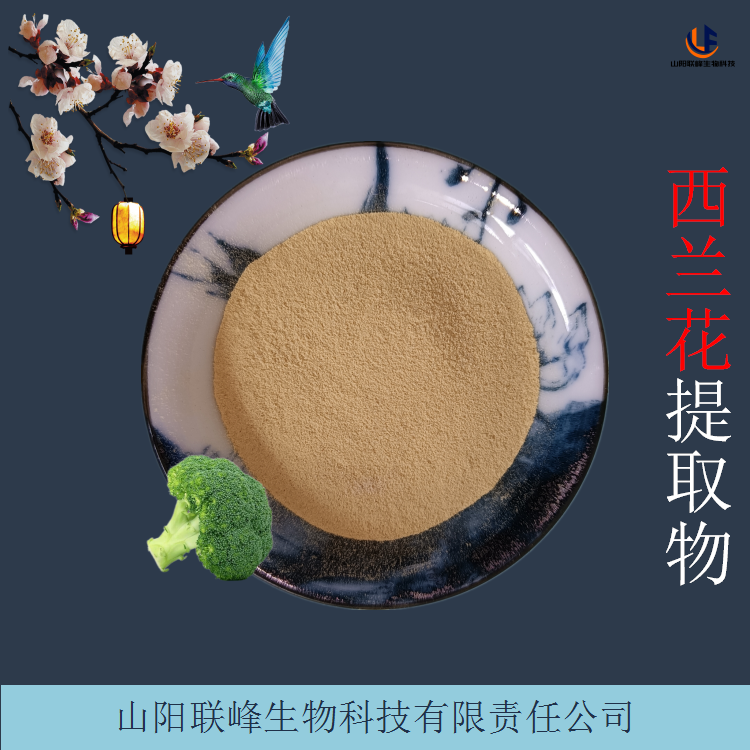 西兰花提取物 蔬菜粉 比例浓缩浸膏粉 新资源食品原料