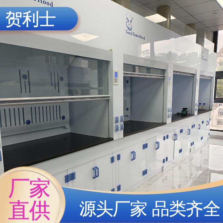 贺利士 排风柜 PP通风柜 节能环保 规模生产 支持定制