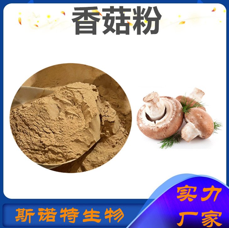 香菇粉 子实体浓缩喷雾干燥 现货库存 斯诺特 支持商检