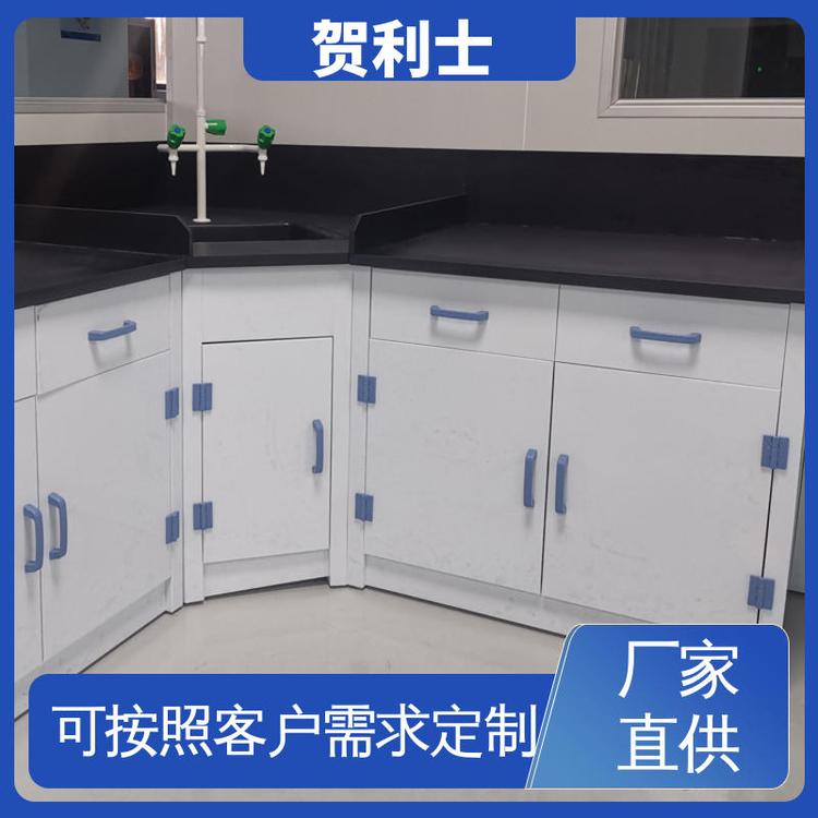 贺利士 pp理化室操作台 化学PP实验台 适用有机实验室 按需定制加工