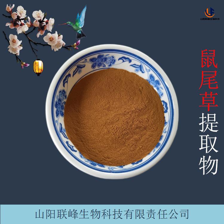 鼠尾草提取物 10:1植物原料萃取粉 1kg包装 现货