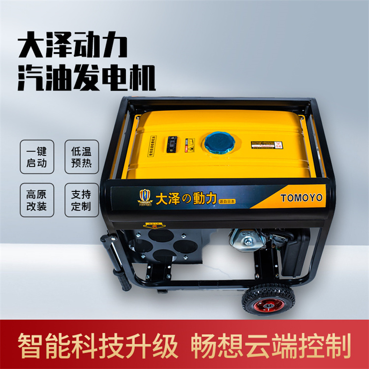 大泽动力TO10000ETM 小型单缸9kw汽油发电机组 风冷无刷便携全自动