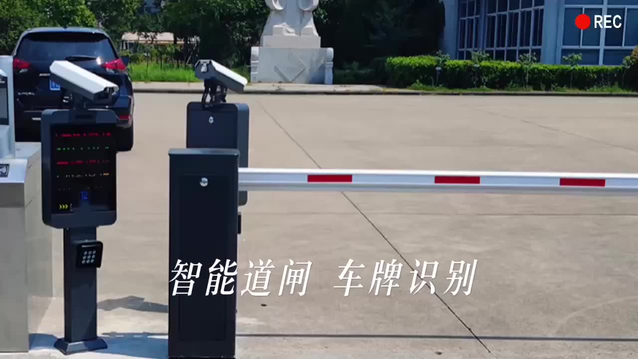 视频