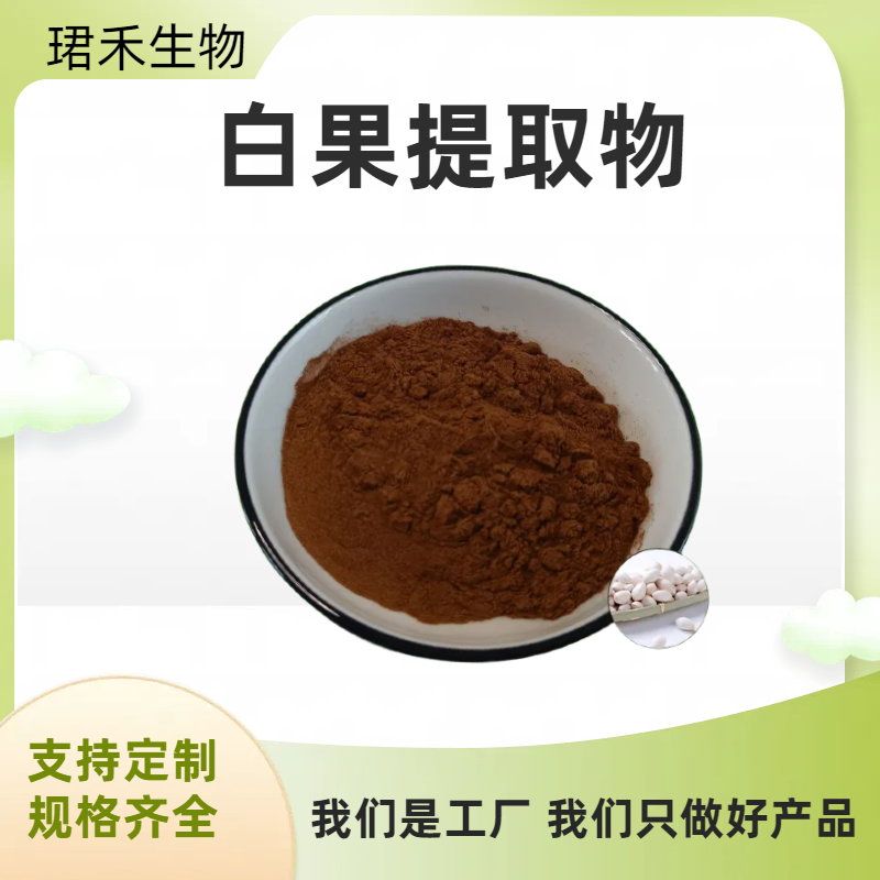 白果提取物 银杏果提取物 水溶性白果粉 食品级原料 流动性好 可