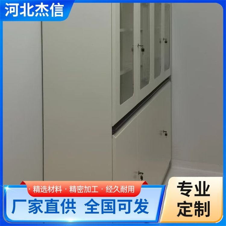 防腐全钢试剂柜 化学样品危化品柜 耐腐蚀 现货出售 品优定制