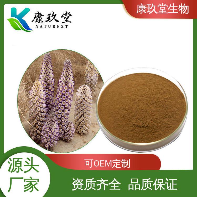 康玖堂 资质齐全 Cistanche Extract 25公斤/桶 肉苁蓉植物提取物