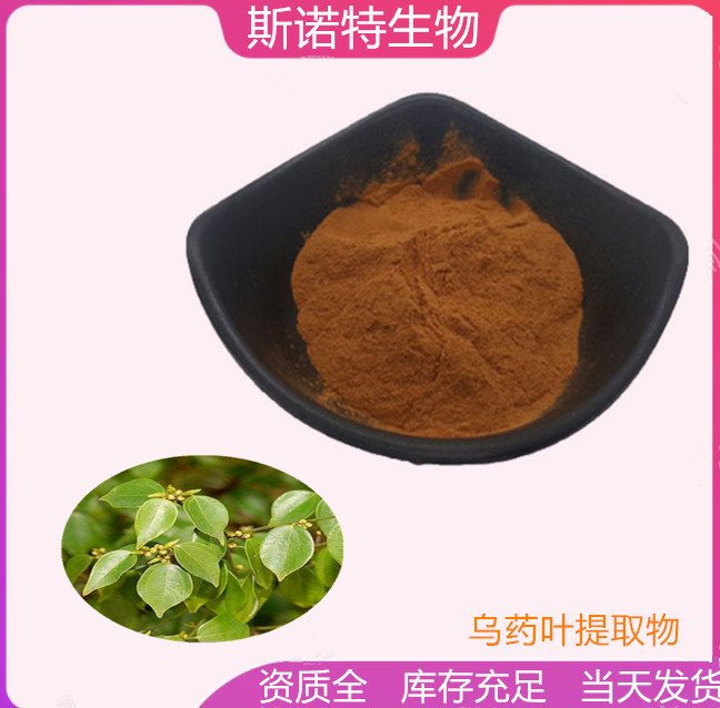斯诺特 乌药叶速溶粉 精细粉末 新食品原料 SC厂 支持试样