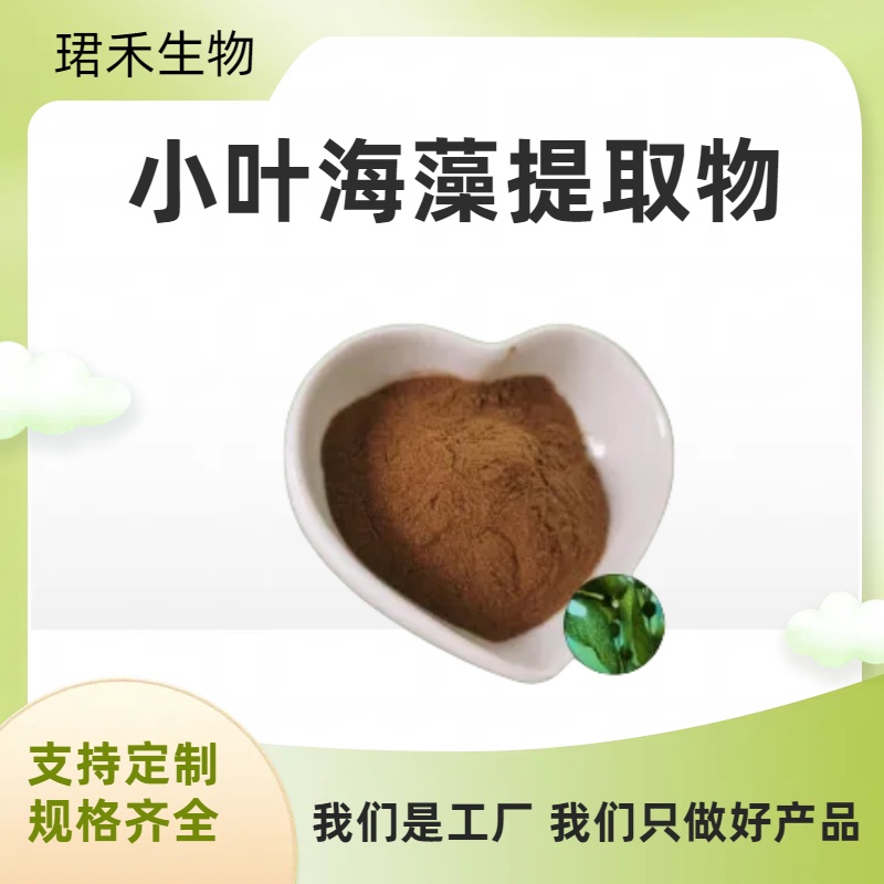 小叶海藻提取物 含海藻多糖 浓缩萃取原料 浸膏粉 食品级原料