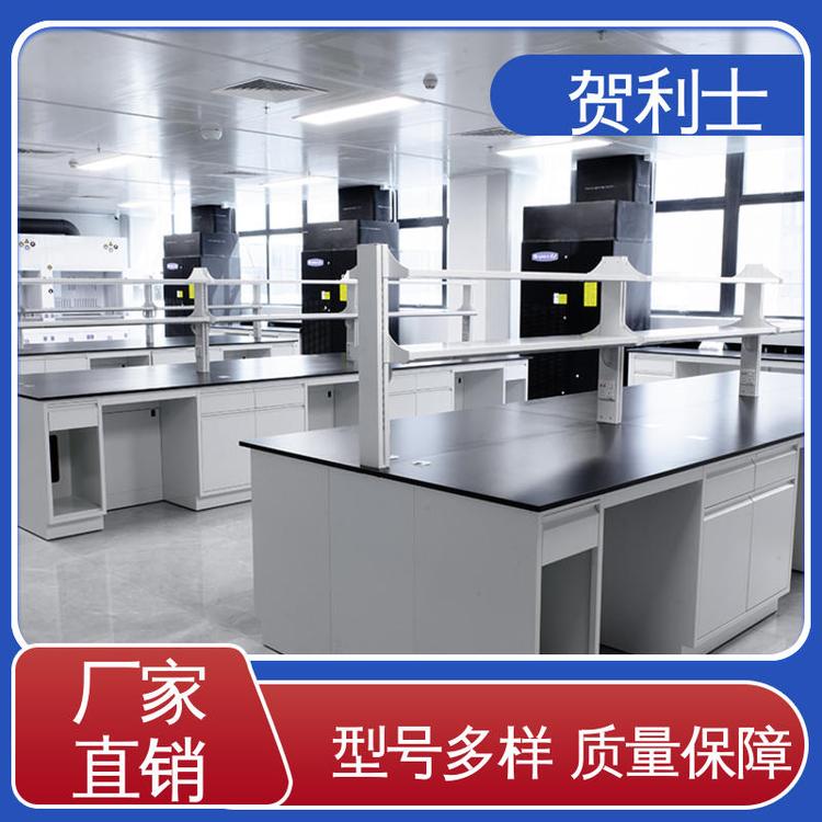 贺利士 耐酸碱 经久耐用 品质卓越 全钢结构实验室 建设用
