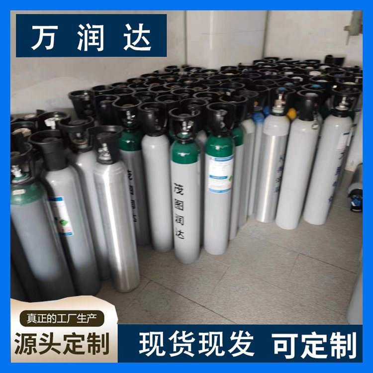 附近标准气体厂家 环境监测标准气 多种规格 万润达 g