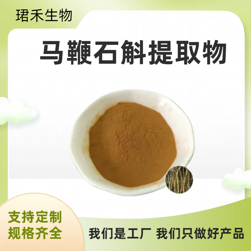 马鞭石斛提取物 水溶浓缩粉 食品级原料 货源稳定厂家直供 可定制