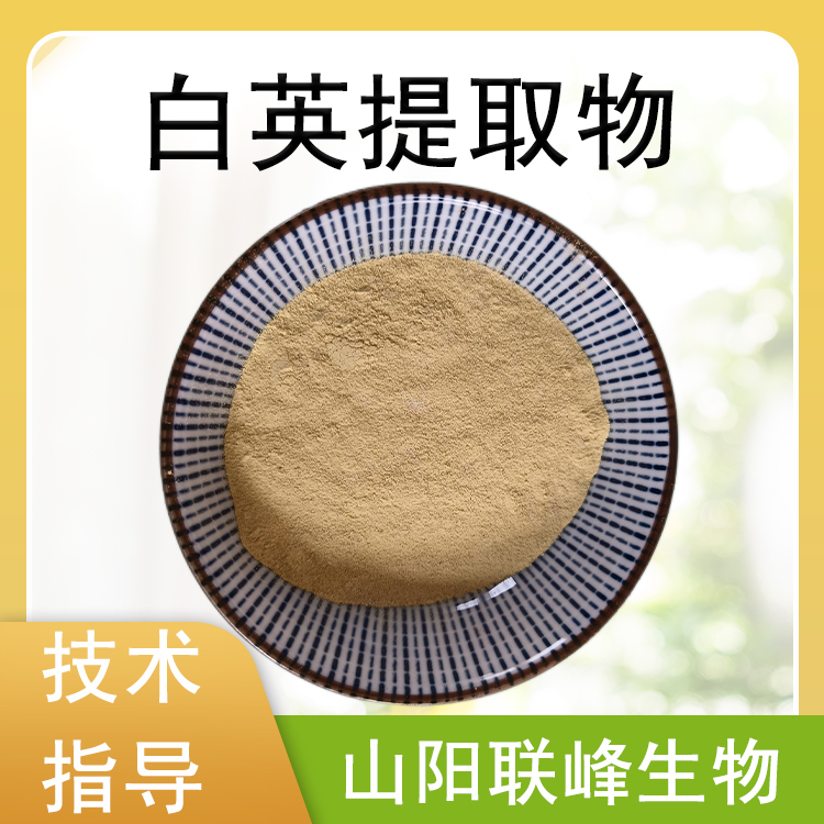 白英提取物 水溶萃取 排风草浓缩粉 喷雾干燥 食品级 联峰生物 国标品质