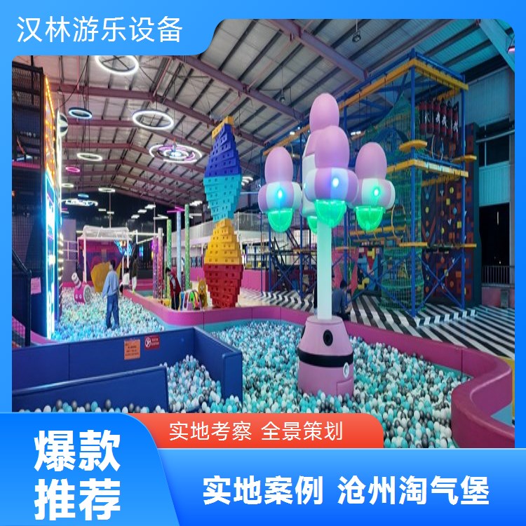 汉林大小型淘气堡儿童游乐场设备幼儿园商场亲子娱乐室内主题乐园