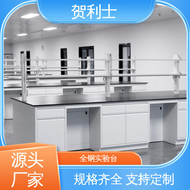 贺利士 耐酸碱 全钢试验桌 建设用实验家具 支持定制