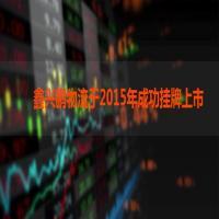 鑫兴鹏快运
