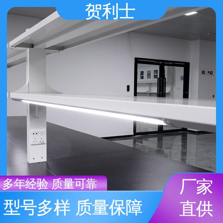 贺利士 全钢实验家具 经久耐用 品质卓越 科研院校制药 耐酸碱