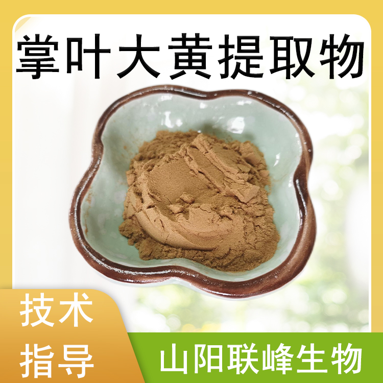 掌叶大黄提取物 10：1浓缩粉 大黄粉 水提萃取原料 1公斤起订