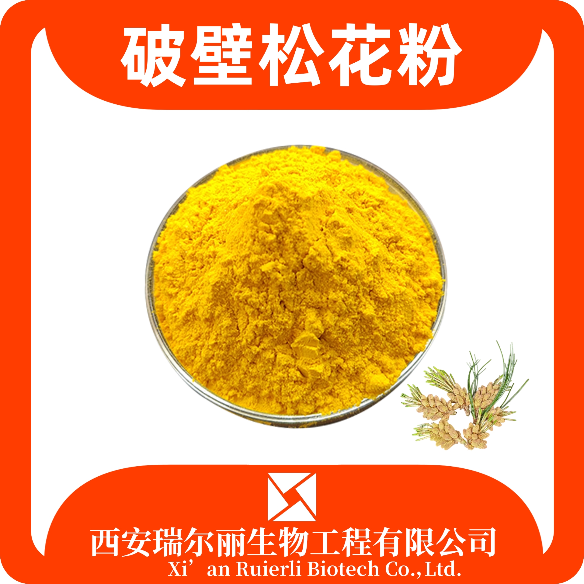 破壁松花粉 松花提取物 SC证可定制 马尾松粉 源头厂家 瑞尔丽生物