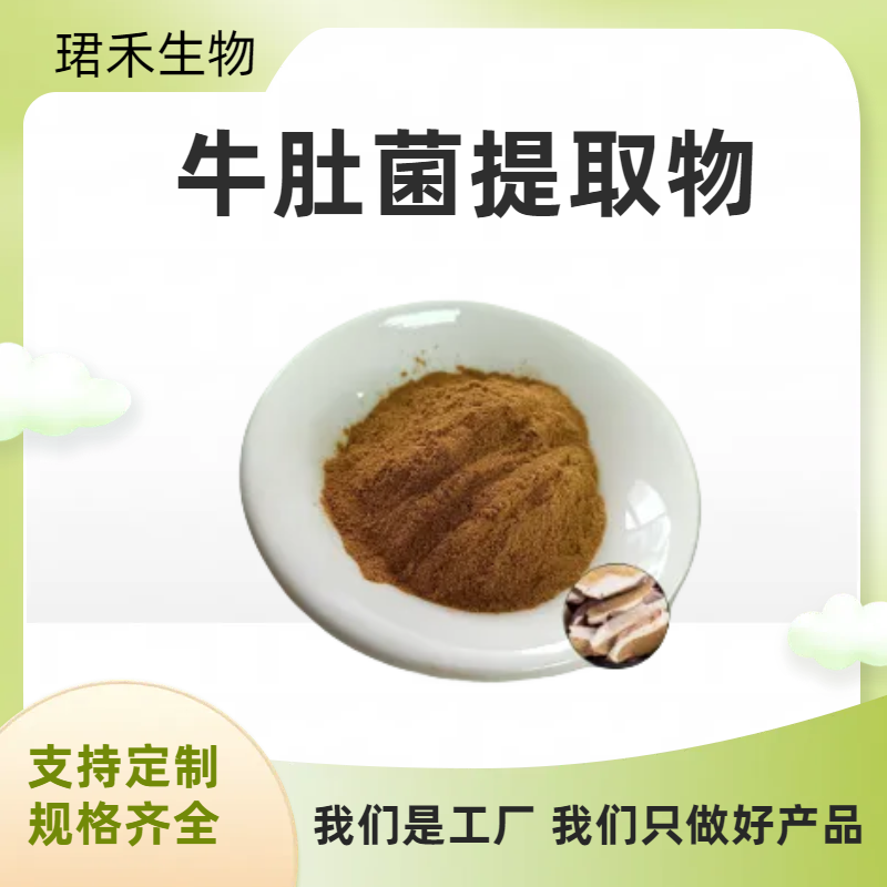牛肚菌多糖 水溶牛肝菌粉10:1 20:1 适用于原料添加 多规格可定制