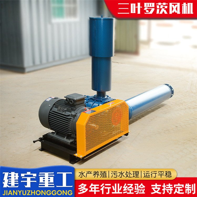建宇 罗茨风机 三叶罗茨曝气增氧风机 寿命长 质量好