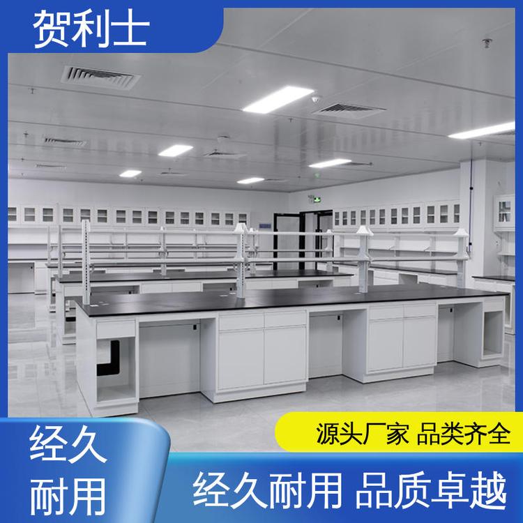 贺利士 性能优越 规模生产 支持定制 坚固实用 全钢实验台