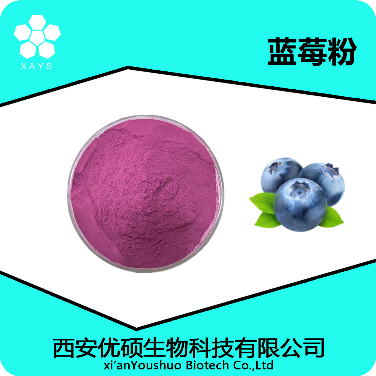 优硕生物大量供应 蓝莓粉 蓝莓果粉 浓缩食品原料 资质齐全含运