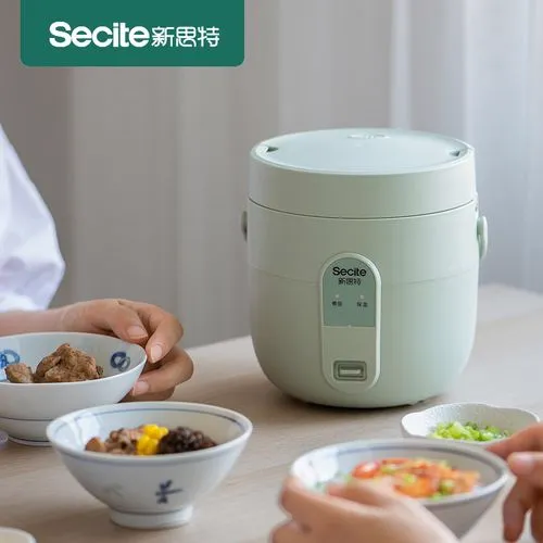 新思特电器