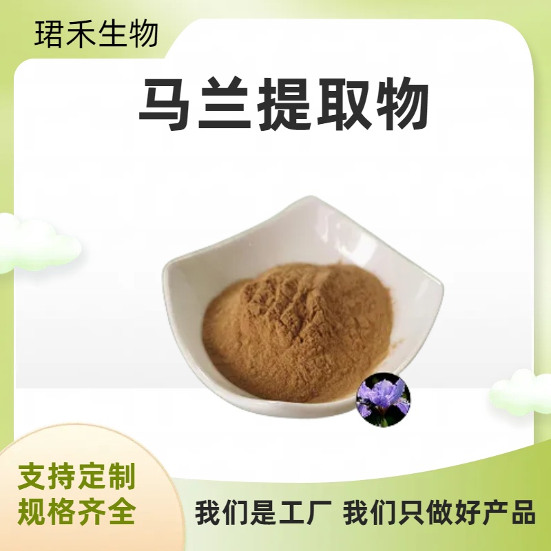质量稳定 马兰提取物10：1 速溶粉/浸膏粉 多比例可定制