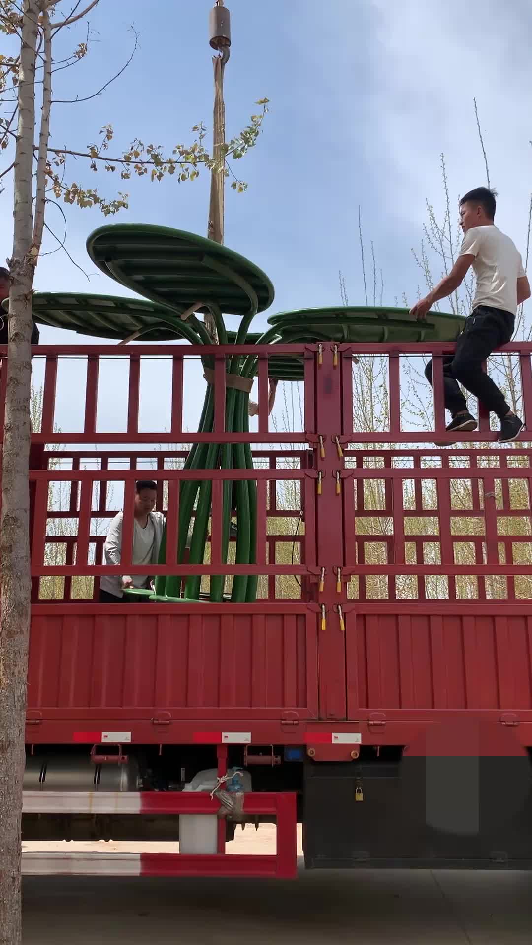 视频