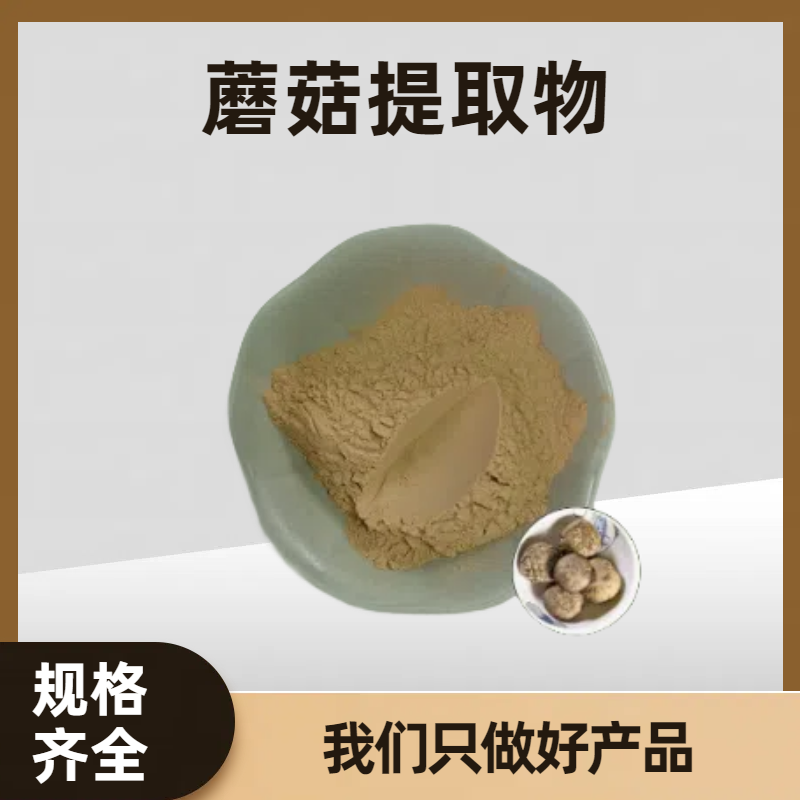 蘑菇提取物 蘑菇浓缩粉 菌类多糖 食品原料 多种规格可定制 溶解