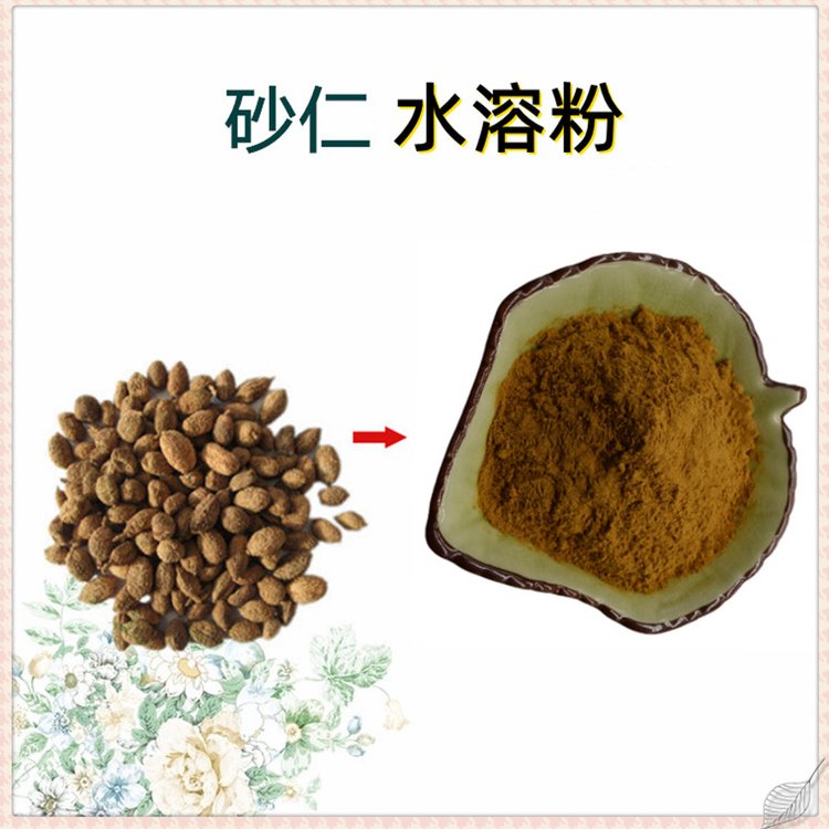 斯诺特 水溶性砂仁粉 植物浓缩萃取 80目 灭菌纸板桶包装