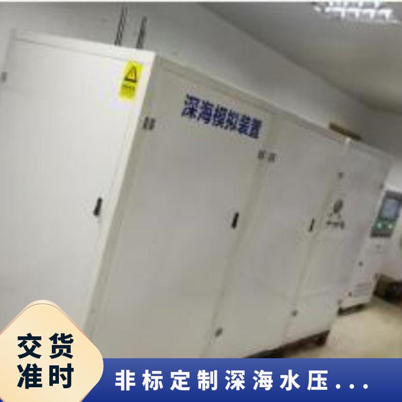 鸿众非标定制深海水压测试系统（包含高压舱体）可定制