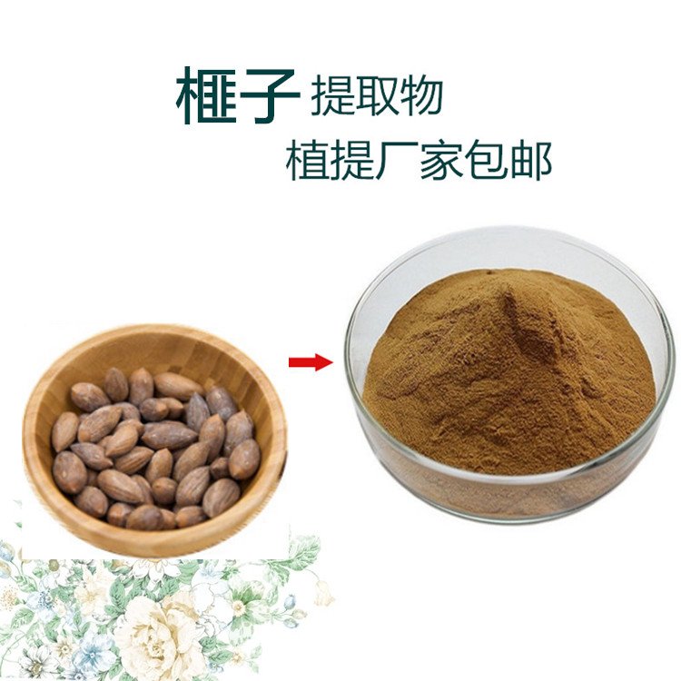 榧子提取物 喷雾干燥 水溶性粉末 植物萃取 支持定制
