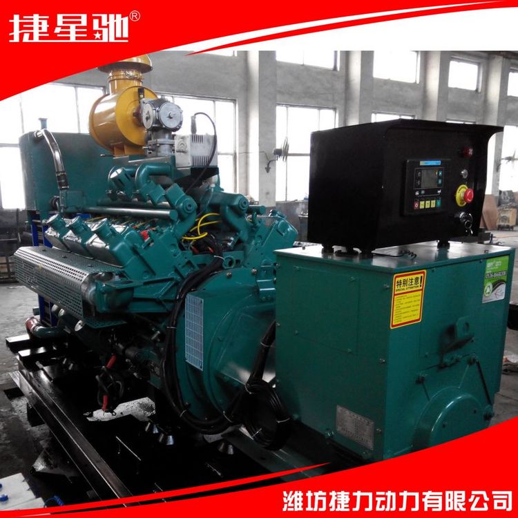 200KW 燃气发电机组 原厂定制 稳定发电 养殖场专用 皮实耐用 并网发电