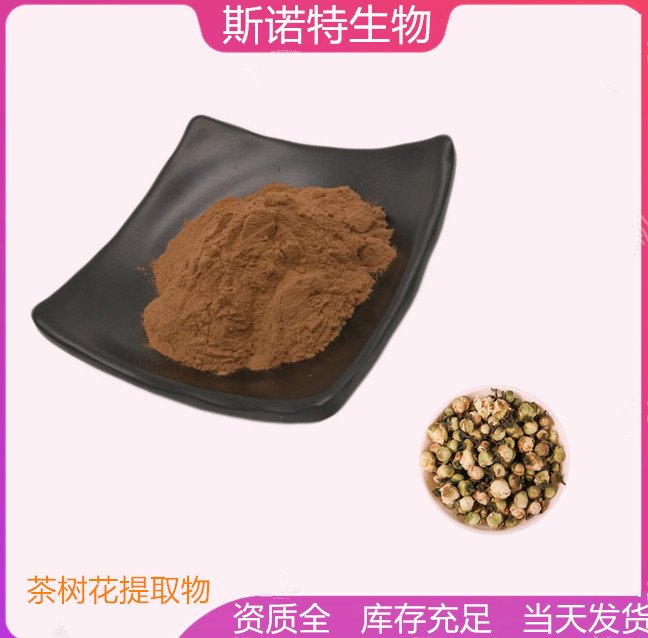 斯诺特 茶树花提取物 喷雾干燥工艺 精细粉末 可试样