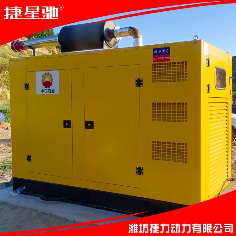 捷力100KW燃气 集装箱发电机组 室外养殖场应急备用电源