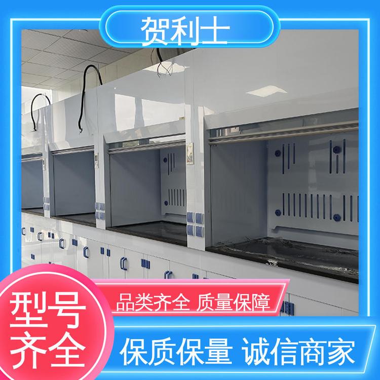 耐高温 规模生产 支持定制 PP净气型通风柜 结构牢固可靠 贺利士