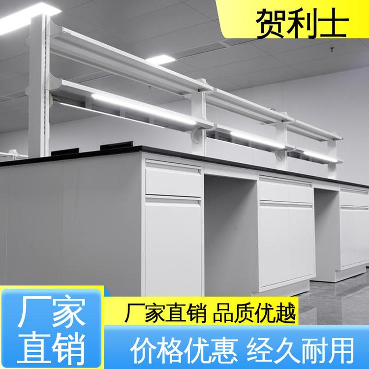 科研院校制药 耐火 全钢实验室 品种多样 长期供应 贺利士