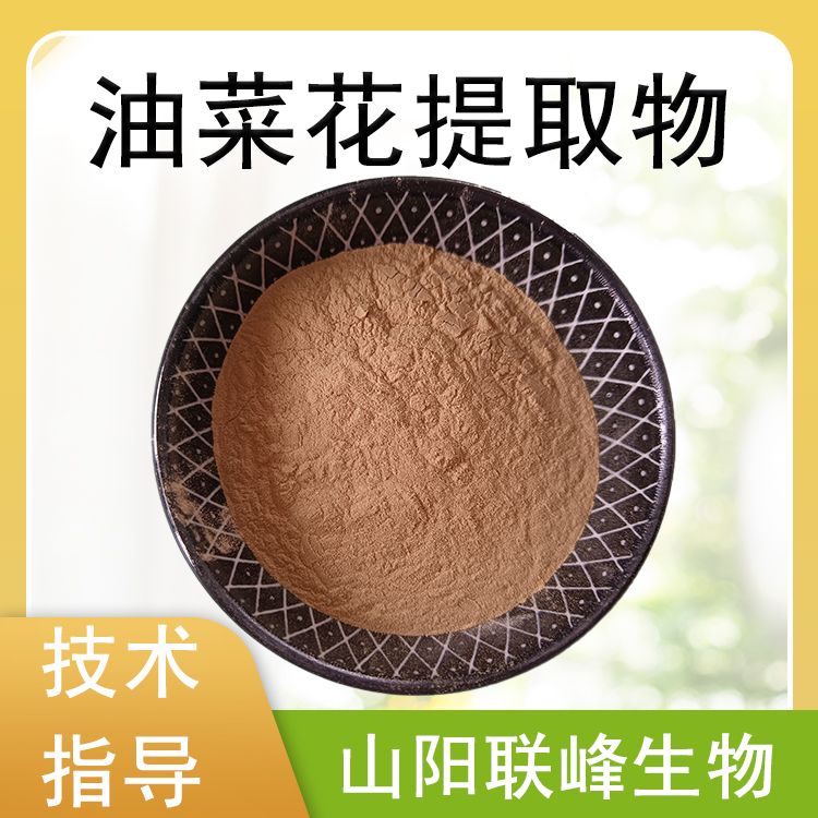 油菜花提取物 水溶油菜花粉 速溶浓缩粉 食品级 喷雾干燥