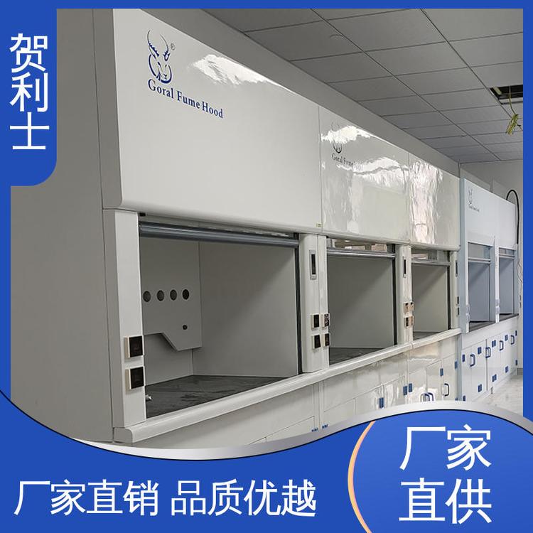 结构牢固可靠 规模生产 支持定制 净气型通风柜 耐高温 贺利士