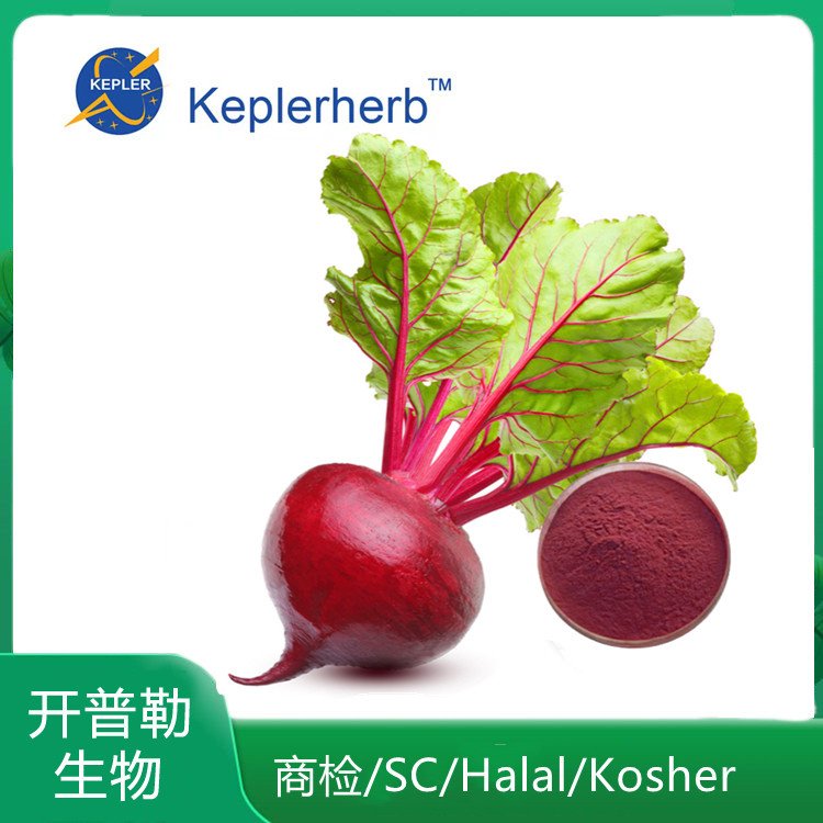 甜菜根提取物10-1 甜菜根粉 食品原料 KPL-0066