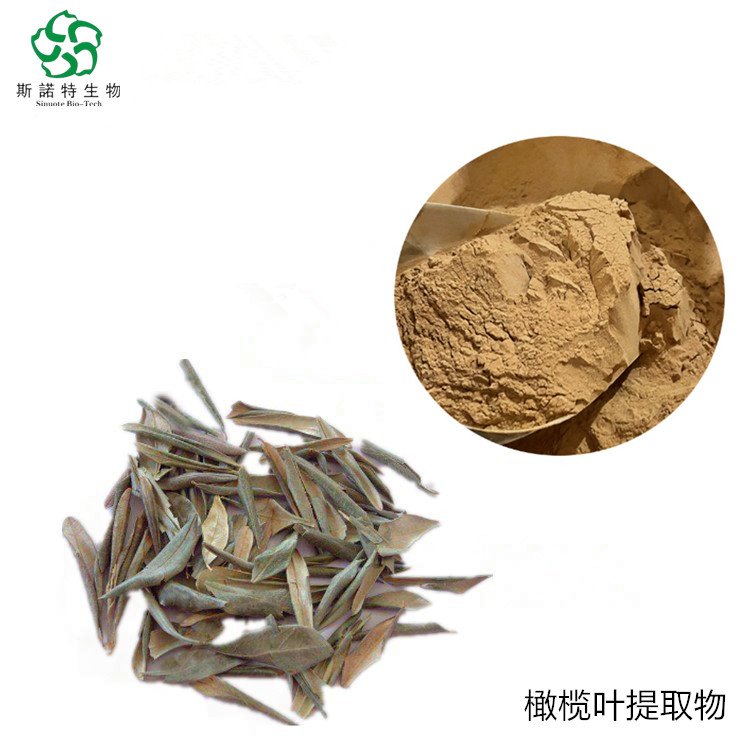 橄榄叶提取物 10倍浓缩 水提或醇提 精细粉末 货源充足
