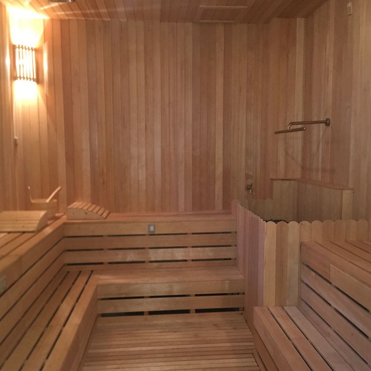 酒店桑拿湿蒸房 健身房安装汗蒸房 厂家生产桑拿房投资万元起