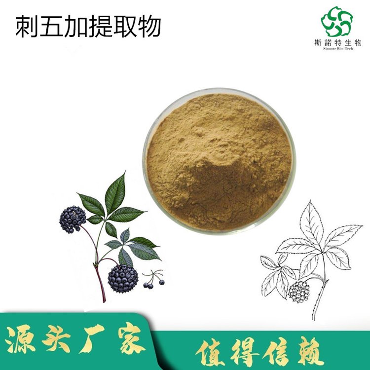斯诺特 五加皮提取物 10倍浓缩 水溶性粉末 货源稳定