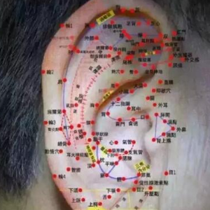 儿推世家