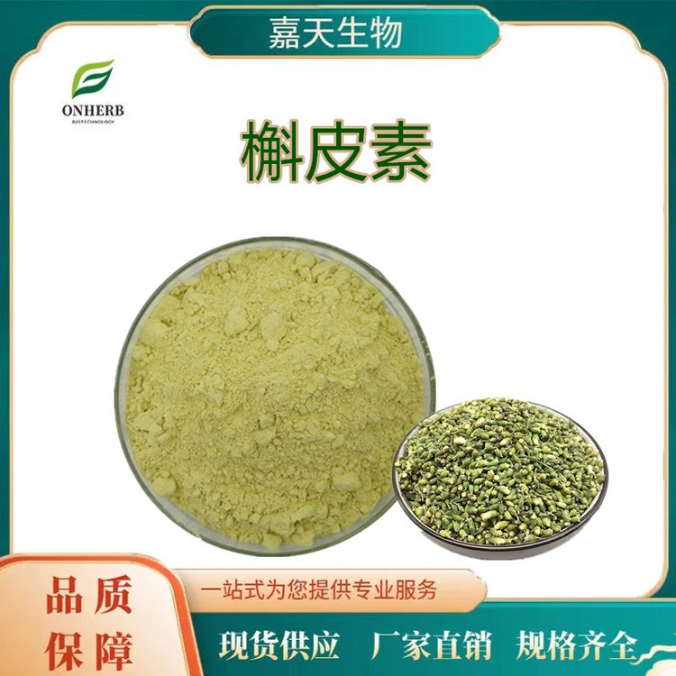槐米提取物98%槲皮素 厂家直供117-39-5 药食同源槲皮