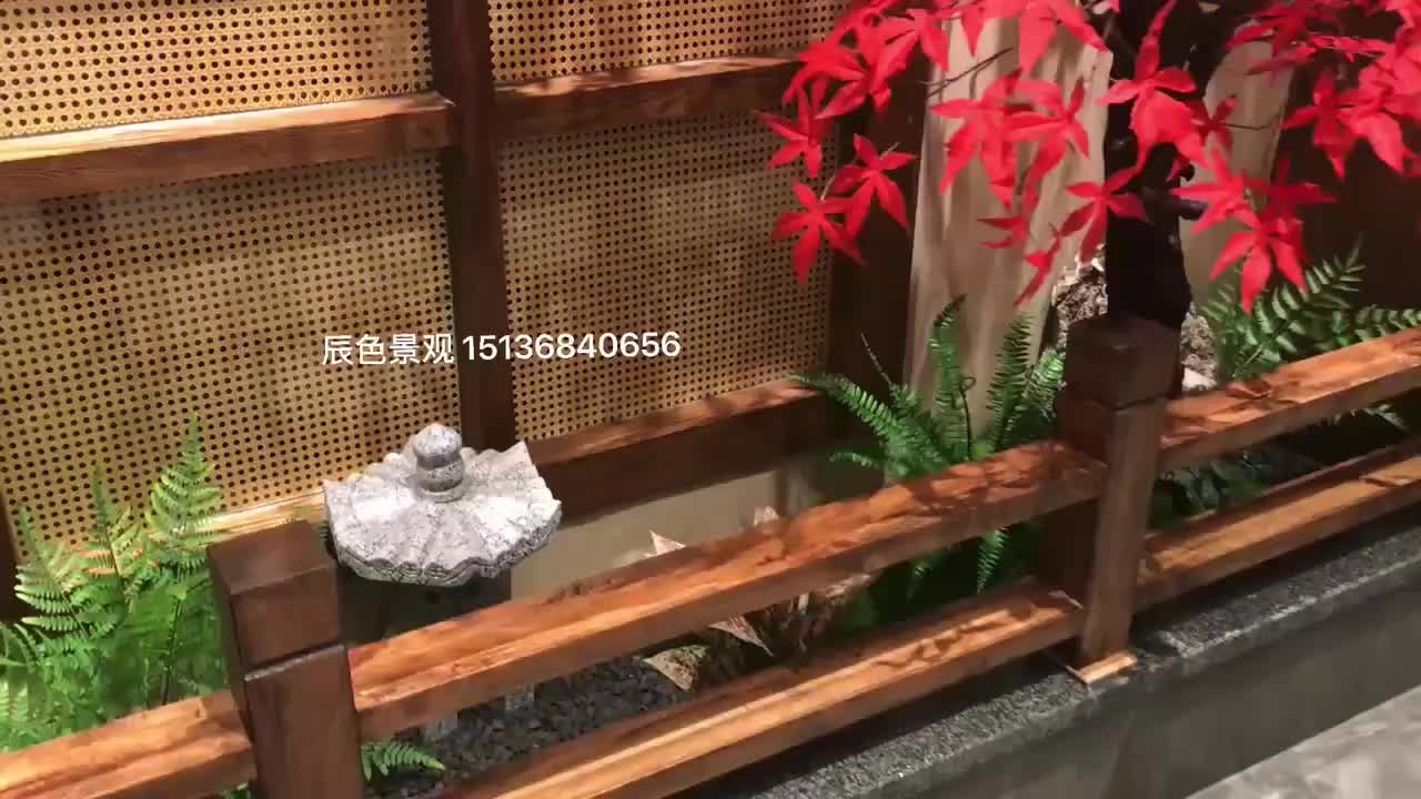 视频