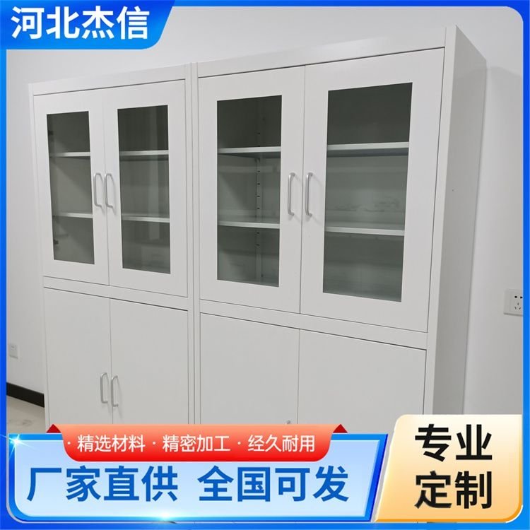 加工全钢试剂柜 化学样品危化品柜 耐腐蚀 服务专业 优质商家