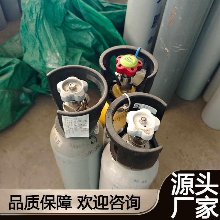 分析检测标准气 4升8升专业生产厂家 快速配货 高效服务z3