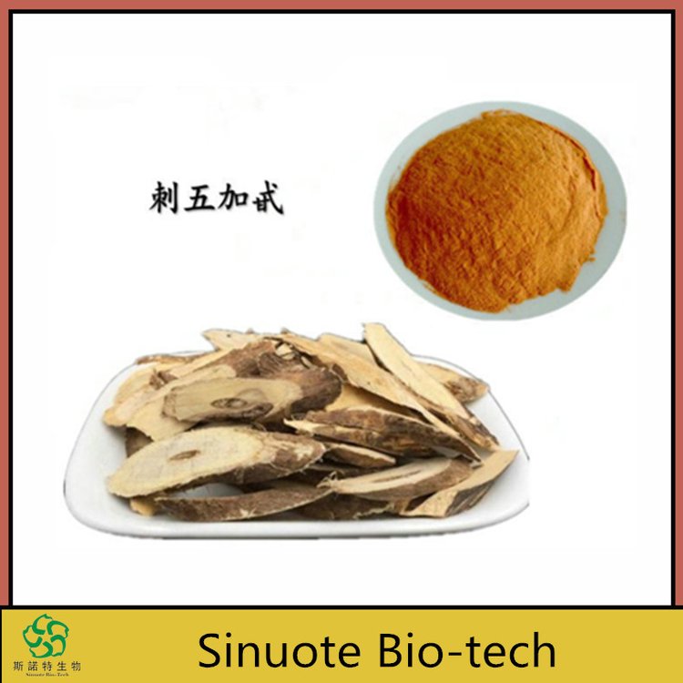 刺五加皂甙0.8% 1.5% 干燥根及根茎萃取 80目粉末 无肉眼可见杂质